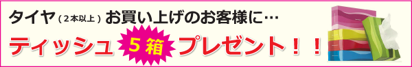 タイヤお買い上げ（2本以上）のお客様にティッシュ５箱プレゼント