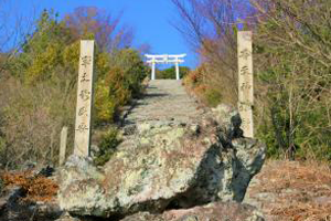 高屋神社（下から見上げる天空の鳥居）