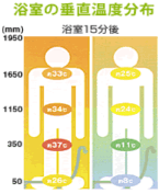 浴室の垂直温度分布